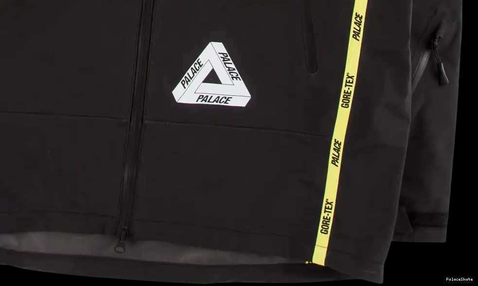Cheap Palace Gore-Tex Jacket Palex 0529